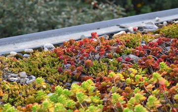 the cost of Coney Hall green roof installation