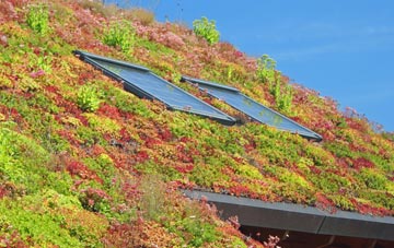 Coney Hall living roof systems
