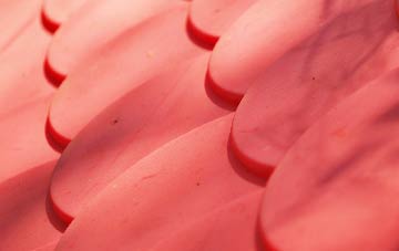 Coney Hall plastic roof costs